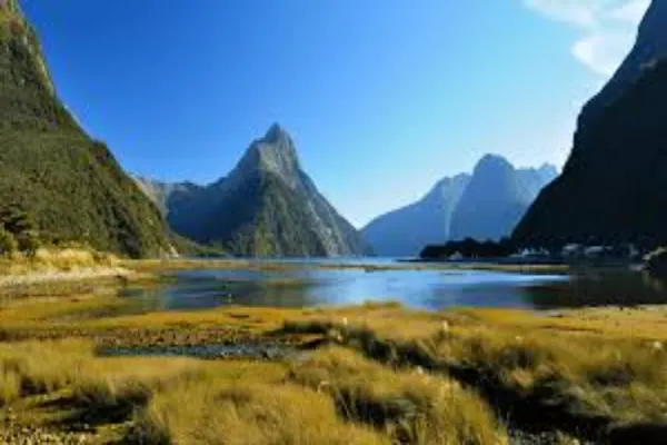 Discovering the Natural Wonders of New Zealand