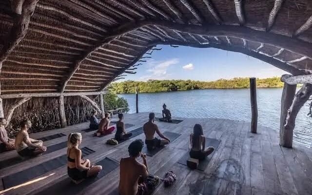 Top Wellness Retreats and Yoga Centers to Relax and Reconnect